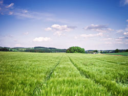 DedeCMS文章图片加ALT信息自动添加ALT属性方法